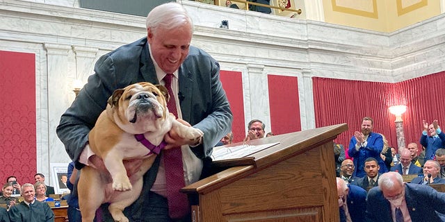 West Virginia Gov. Jim Justice holds Babydog, his English Bulldog, during his State of the State address, Thursday, Jan. 27, 2022, at the Capitol in Charleston.