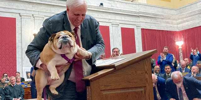 West Virginia Gov. Jim Justice holds Babydog, his English Bulldog, during his State of the State address, Thursday, Jan. 27, 2022, at the Capitol in Charleston.