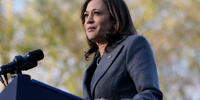 Vice President Kamala Harris speaks before President Joe Biden in support of changing the Senate filibuster rules that have stalled voting rights legislation, at Atlanta University Center Consortium, on the grounds of Morehouse College and Clark Atlanta University, Tuesday, Jan. 11, 2022, in Atlanta. (AP Photo/Patrick Semansky)