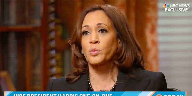 Vice President Kamala Harris speaks with NBC's Craig Melvin in a one-one-one interview that aired January 13, 2022. (Screenshot/NBC)