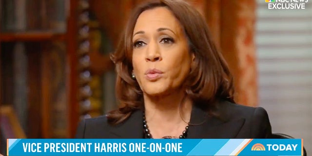 Vice President Kamala Harris speaks with NBC's Craig Melvin in a one-one-one interview that aired January 13, 2022. (Screenshot/NBC)