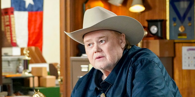 Louie Anderson is resting in a hospital after being diagnosed with a type of non-Hodgkin lymphoma, according to his rep. 