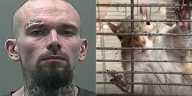 Mickey Paulk and his pet squirrel, Deeznutz