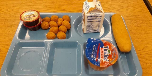 Seen in this image provided by father Chris Vangellow of Hopkinton, New York, is a free lunch one of his children has been served at school under USDA guidelines.