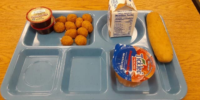 Seen in this image provided by father Chris Vangellow of Hopkinton, New York, is a free lunch one of his children has been served at school under USDA guidelines.