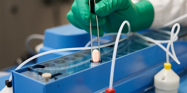 This image provided by Pfizer in October 2021 shows the company's COVID-19 Paxlovid pills. US health authorities on Wednesday, December 22, 2021 approved the first pill against COVID-19, a Pfizer drug that Americans will be able to take at home to ward off the worst effects of the virus. (Pfizer via AP)