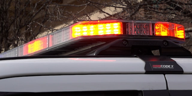 FILE- Police lights features on the top of a cruiser.