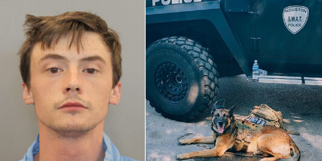 Ryan Smith is accused of stabbing this Houston Police Department K-9 dog.