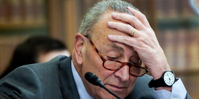 Senate Majority Leader Chuck Schumer of N.Y., was forced to delay work on the $1.7 trillion spending bill due to a fight over immigration policy.
