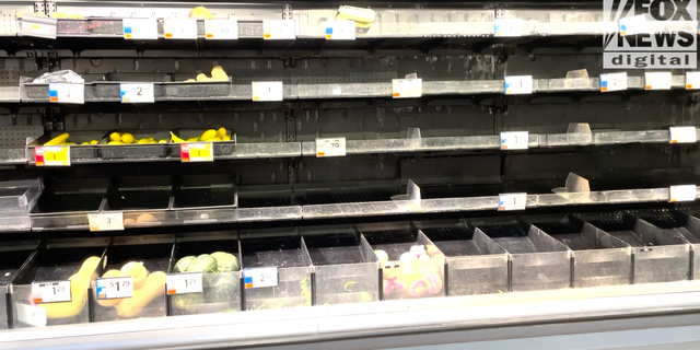 Almost empty produce shelves at a Giant grocery store.