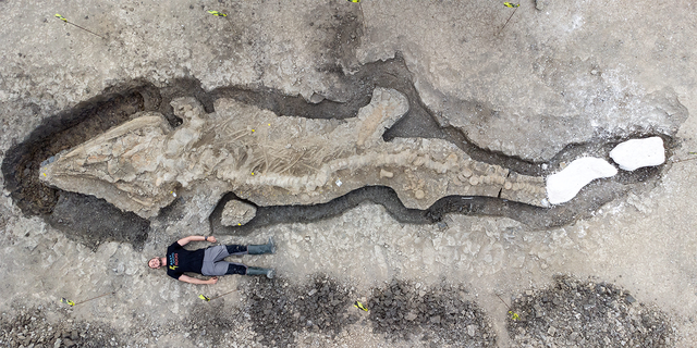 A man poses next to excavated remains of a Britain's largest ichthyosaur, at Rutland Water, Rutland county, Britain, August 2021 in this picture obtained from social media on January 10, 2022. 