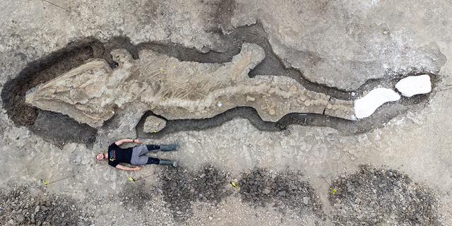 A man poses next to excavated remains of a Britain's largest ichthyosaur, at Rutland Water, Rutland county, Britain, August 2021 in this picture obtained from social media on January 10, 2022.