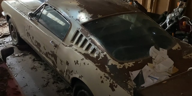 This 1965 Ford Mustang Shelby GT350 was found in an abandoned home in Georgia.