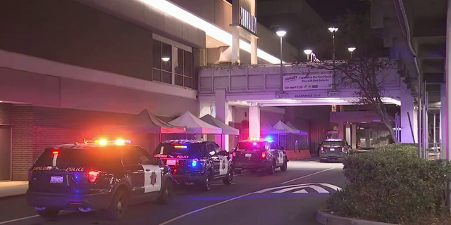 A shopper at the Sun Valley Mall in Concord, Calif., was wounded in a shooting on New Year's Eve after trying to help another person during a robbery, authorities said.