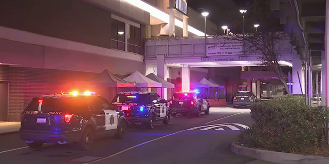A shopper at the Sun Valley Mall in Concord, Calif., was wounded in a shooting on New Year's Eve after trying to help another person during a robbery, authorities said.