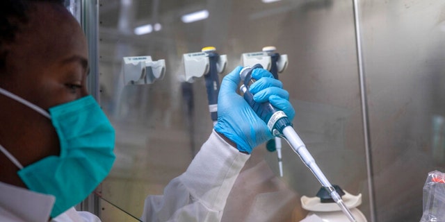 Puseletso Lesofi prepares to sequence COVID-19 omicron samples at the Ndlovu Research Center in Elandsdoorn, South Africa Wednesday Dec. 8, 2021. (AP Photo/Jerome Delay/File)