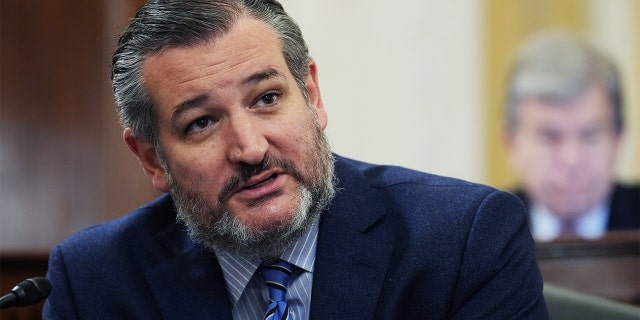 Ted Cruz during Senate Judiciary hearing on Jan. 6