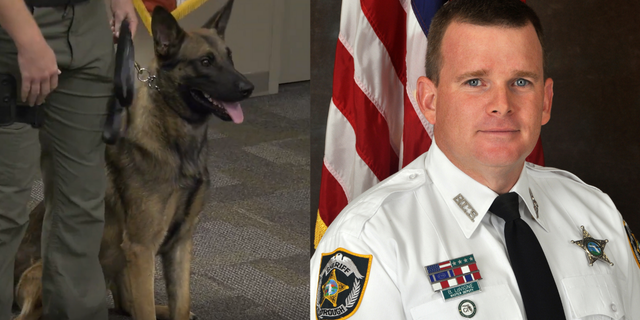 Sergeant Brian LaVigne and K-9 Roy (Credit: Hillsborough County Sheriff’s Office)