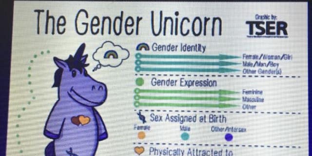 "Gender Unicorn" slide from mandatory Resident Assistants training at Western Carolina University. 
