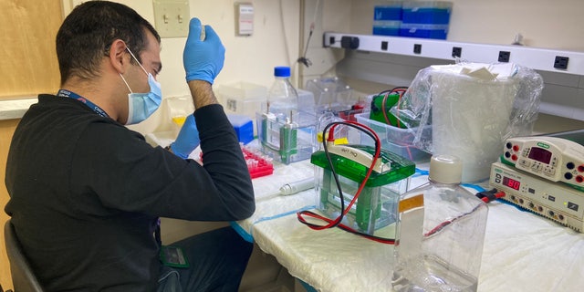 Students at the University of Nevada-Las Vegas test wastewater samples to detect the presence of COVID-19. in the area. (Ashley Soriano/Fox News)