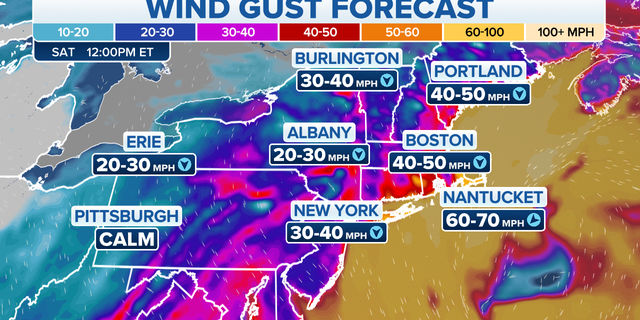 Eastern wind gust forecast