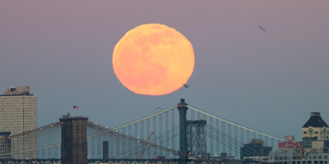 On this day in history, May 24, 1883, the Brooklyn Bridge opens amid great civic fanfare 5 full wolf moon behind Brooklyn Bridge