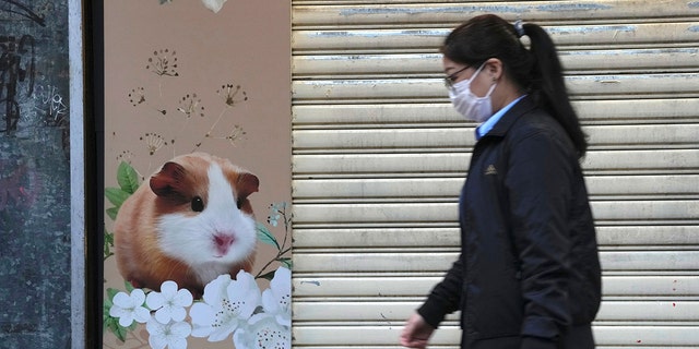 A pet shop is closed after some pet hamsters were tested positive for the coronavirus, in Hong Kong, Tuesday, Jan. 18, 2022. 