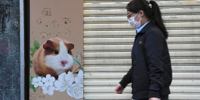 A pet shop is closed after some pet hamsters were tested positive for the coronavirus, in Hong Kong, Tuesday, Jan. 18, 2022.