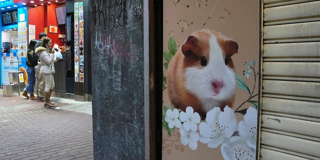 A pet shop is closed after some hamsters tested positive for the coronavirus, in Hong Kong, Tuesday, Jan. 18, 2022. 