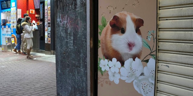 A pet shop is closed after some hamsters tested positive for the coronavirus, in Hong Kong, Tuesday, Jan. 18, 2022.