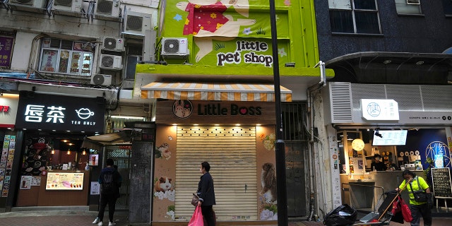 A pet shop is closed after some pet hamsters tested positive for the coronavirus, in Hong Kong, Tuesday, Jan. 18, 2022.