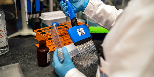 Scientists at the Africa Health Research Institute in Durban, South Africa, work on the omicron variant of the COVID-19 virus Wednesday Dec. 15, 2021. 