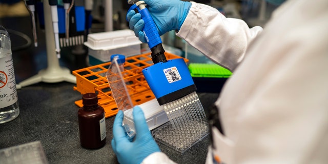 Scientists at the Africa Health Research Institute in Durban, South Africa, work on the omicron variant of the COVID-19 virus Wednesday Dec. 15, 2021. The fast-moving omicron variant is complicating a key question: How does the COVID-19 pandemic end and the world co-exist with this virus? Experts agree that the coronavirus is here to stay. Ending the pandemic won't be like flipping a light switch.