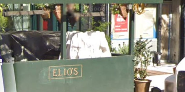 Sarah Palin and Ron Duguay were seen eating together with friends at Elio's Italian restaurant on Manhattan's Upper East Side Wednesday.