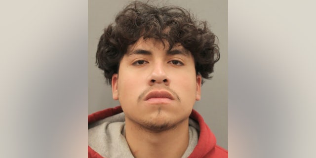 フランク・デレオン, 17, was arrested Monday in the murder of 16-year-old Diamond Alvarez, ヒューストン警察は言った.