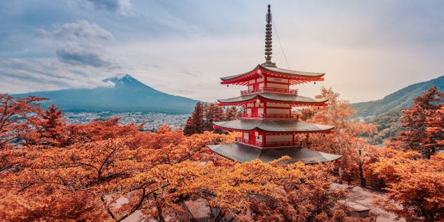More than 86,500 people in Japan are said to have been 100-year-old or older in 2021, according to data from the country's Ministry of Health, Labor, and Welfare.