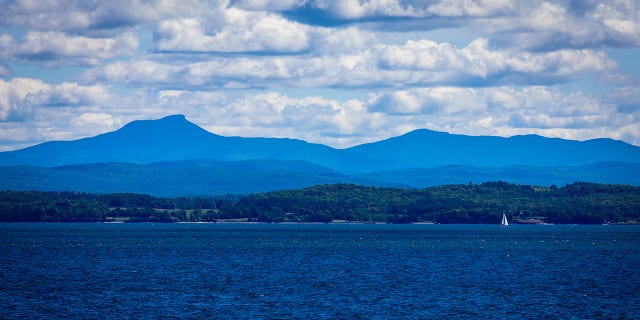 The loon was released on Lake Champlain, where there was enough open water for it to take off.