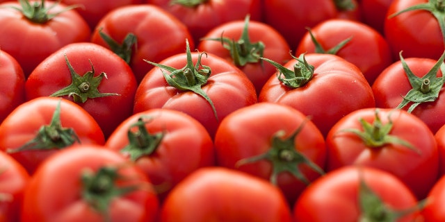 A beautiful batch of fresh tomatoes is shown here. Lycopene gives tomatoes their bright red color and helps protect our cells against damage. 