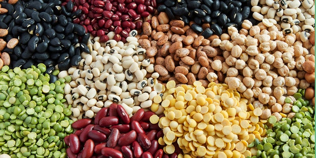 Vários legumes e feijões coloridos - vista superior.  Todos os participantes estavam livres de doenças cardiovasculares ou câncer no início do estudo.