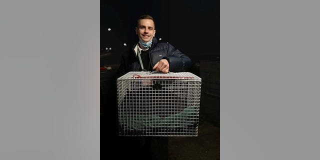 A worker at the rest stop helped catch the cat by luring her with some food.