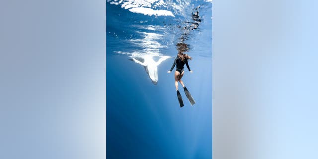 Free diver Yanna Xian, 24, traveled to Tahiti with her boyfriend Mitch Brown, 27, in September 2021, where the pair decided to take a whale-watching tour. The tour, which took place in Moorea, allowed them and other passenger to get in the water with the whales.