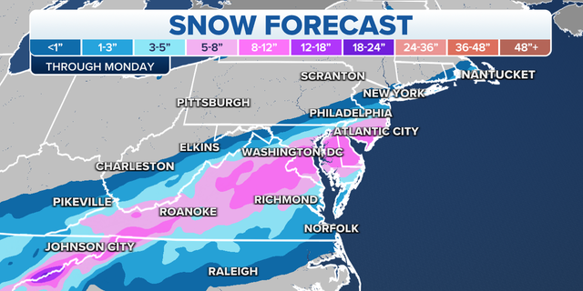 Expected snowfall totals in the East Coast.