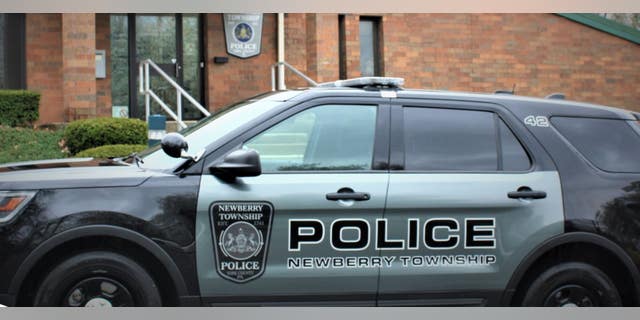 Newberry Township police officers arrested the driver on suspicion of DUI.