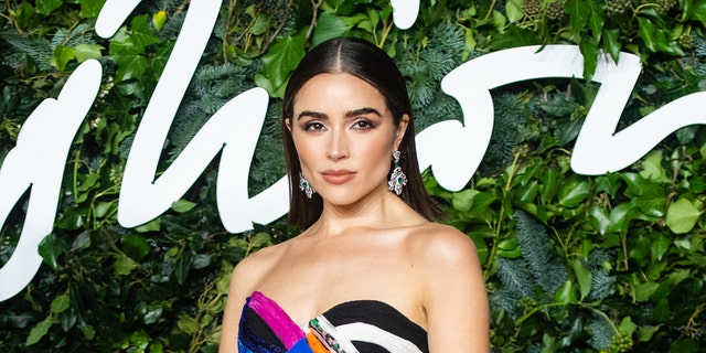 Olivia Culpo ran into some trouble with American Airlines before being able to board her plane.