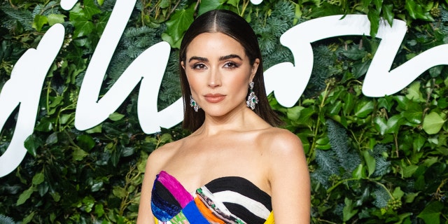 Olivia Culpo ran into some trouble with American Airlines before being able to board her plane.