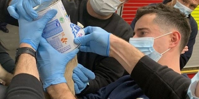 Firefighters in Basildon, Essex saved a French Bulldog puppy after it got its head stuck in a baby formula milk tin.