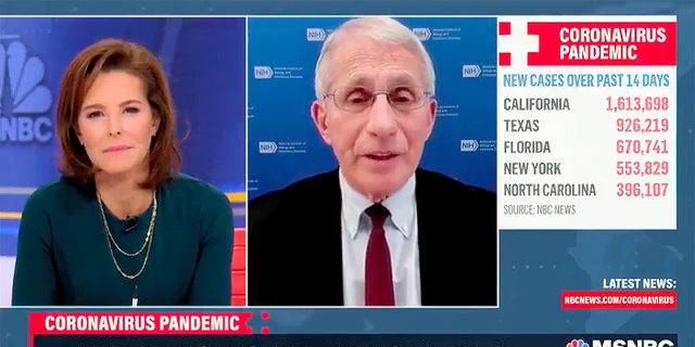 MSNBC's Stephanie Ruhle interviews Dr. Anthony Fauci on January 24, 2022. (Screenshot/MSNBC)