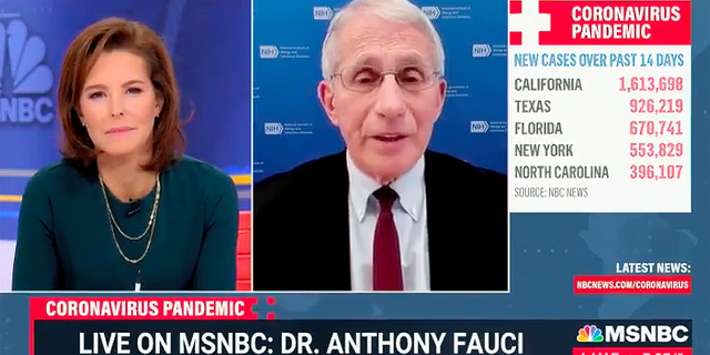 MSNBC's Stephanie Ruhle interviews Dr. Anthony Fauci on January 24, 2022. (Screenshot/MSNBC)