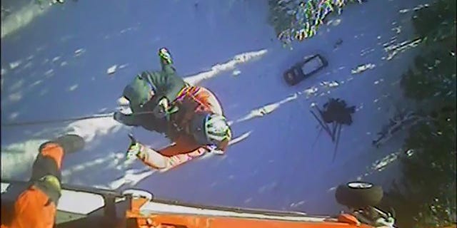 미국. Coast Guard's MH-65 helicopter crew hoisted the two 19-year-old hikers to safety after the pair went missing on Swastika Mountain near Eugene, 광석., during a camping trip last week.