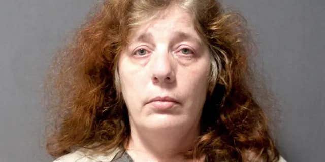 Wendy Lynn Wein pleaded guilty on Friday to trying to hire a hitman to kill her husband last year through what turned out to be a fake murder-for-hire website. (Monroe County Jail)